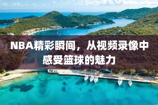 NBA精彩瞬间，从视频录像中感受篮球的魅力