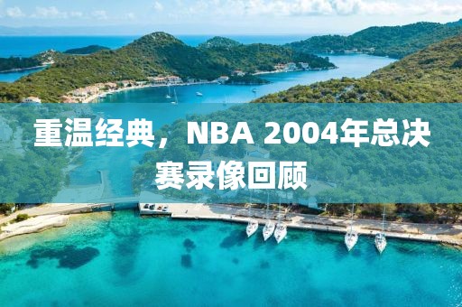 重温经典，NBA 2004年总决赛录像回顾