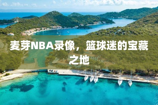 麦芽NBA录像，篮球迷的宝藏之地