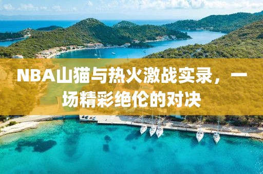 NBA山猫与热火激战实录，一场精彩绝伦的对决