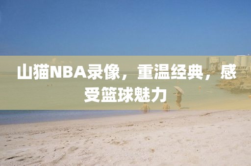 山猫NBA录像，重温经典，感受篮球魅力