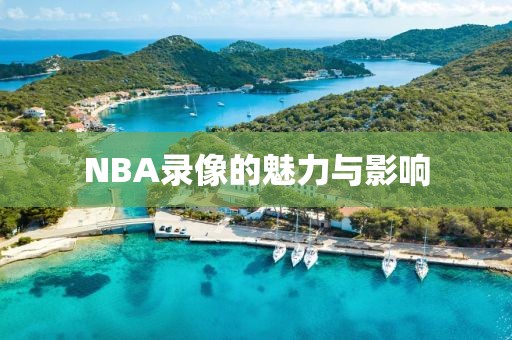 NBA录像的魅力与影响