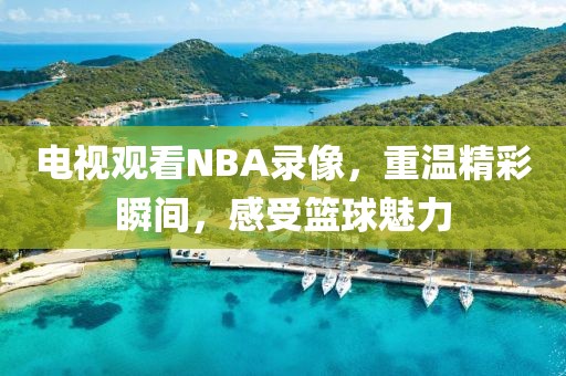 电视观看NBA录像，重温精彩瞬间，感受篮球魅力