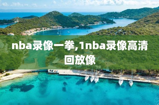 nba录像一拳,1nba录像高清回放像
