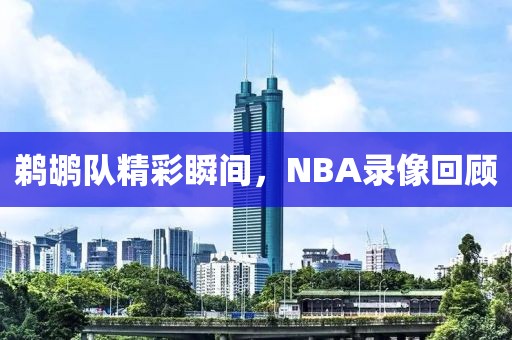 鹈鹕队精彩瞬间，NBA录像回顾