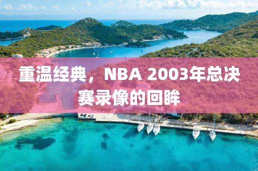 重温经典，NBA 2003年总决赛录像的回眸