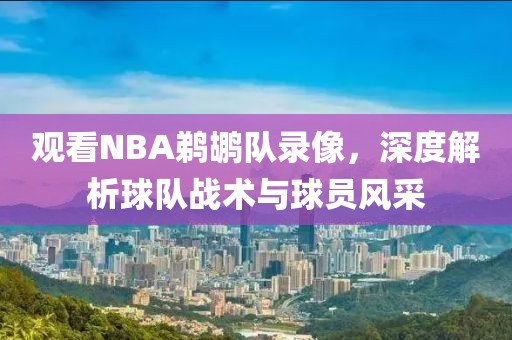 观看NBA鹈鹕队录像，深度解析球队战术与球员风采
