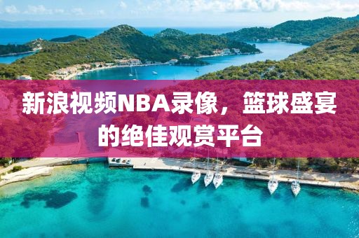新浪视频NBA录像，篮球盛宴的绝佳观赏平台