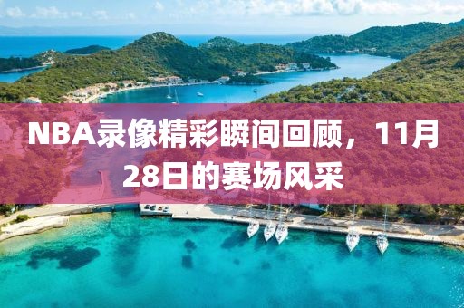 NBA录像精彩瞬间回顾，11月28日的赛场风采