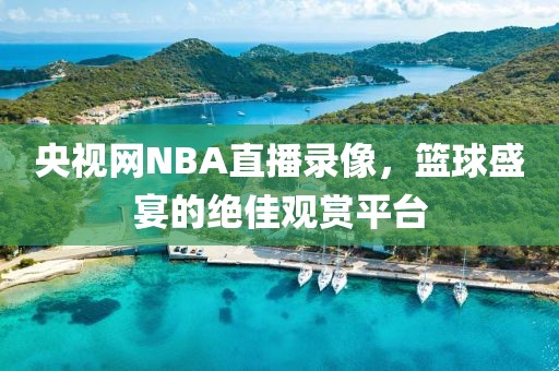 央视网NBA直播录像，篮球盛宴的绝佳观赏平台