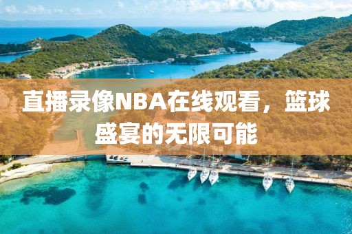 直播录像NBA在线观看，篮球盛宴的无限可能