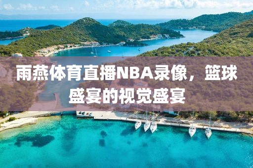 雨燕体育直播NBA录像，篮球盛宴的视觉盛宴