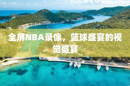 全屏NBA录像，篮球盛宴的视觉盛宴