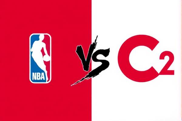 NBA湖人VS热火G2录像，热血对决的重燃之夜  NBA湖人VS热火G2录像 热血对决 第1张