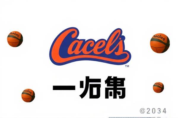 CC直播NBA录像回放，篮球盛宴的不二之选