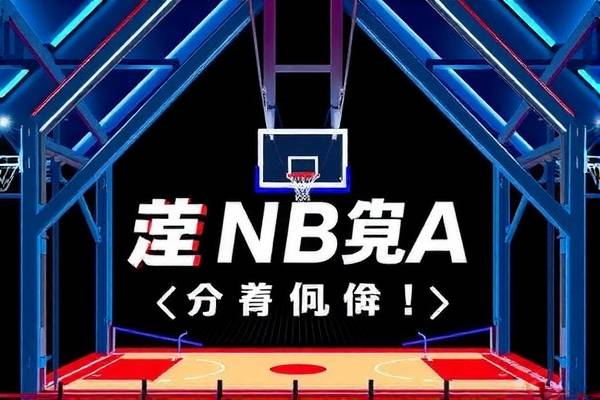 雨燕体育NBA录像回放，篮球盛宴的绝佳观赏体验