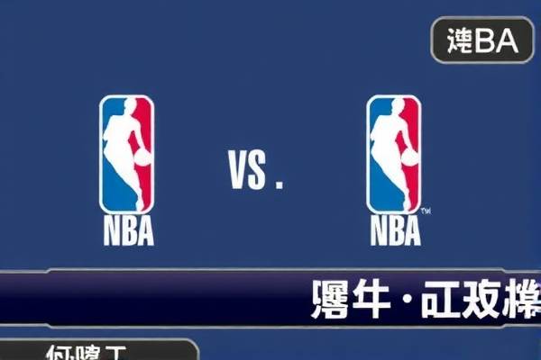 NBA录像回放，高清观看体验